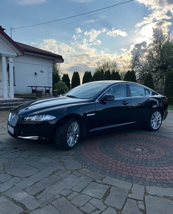 Jaguar XF cena 67900 przebieg: 130000, rok produkcji 2014 z Koronowo małe 211